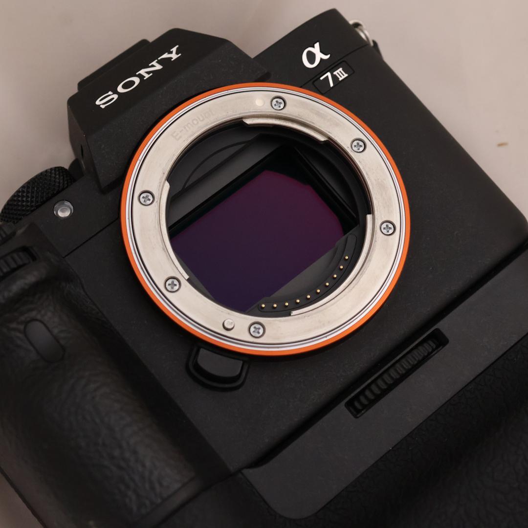 SONY ミラーレス一眼 α7ⅲ＋ZEISSレンズ55mm F1.8 ZA