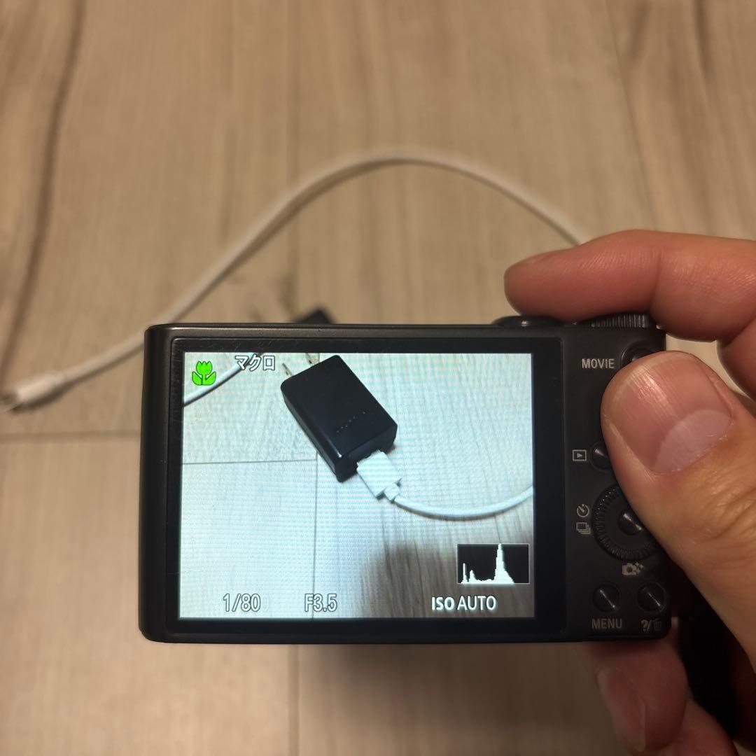 SONY ソニー　DSC-WX350 純正バッテリー3個付