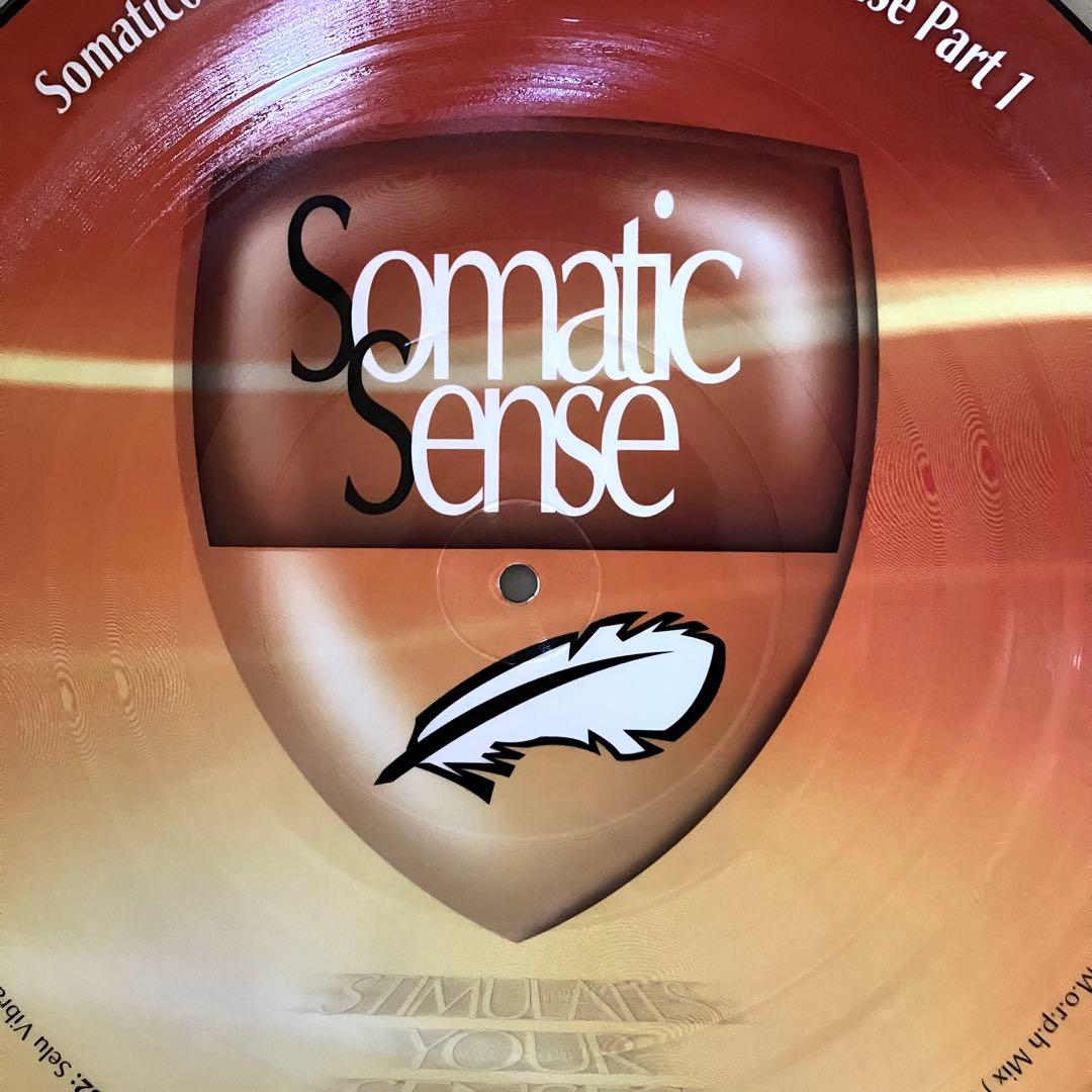 The Very Best of Somatic Sense Pt.1 希少レア