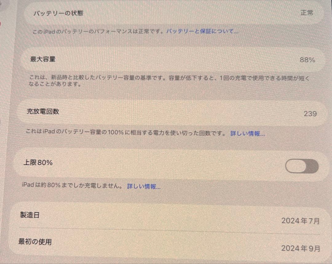 【yvngboi】 iPad Pro M4 11インチ wifiモデル