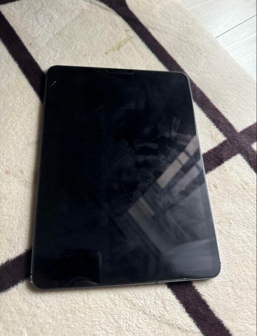 iPad Pro 11 インチ 第1世代 本体