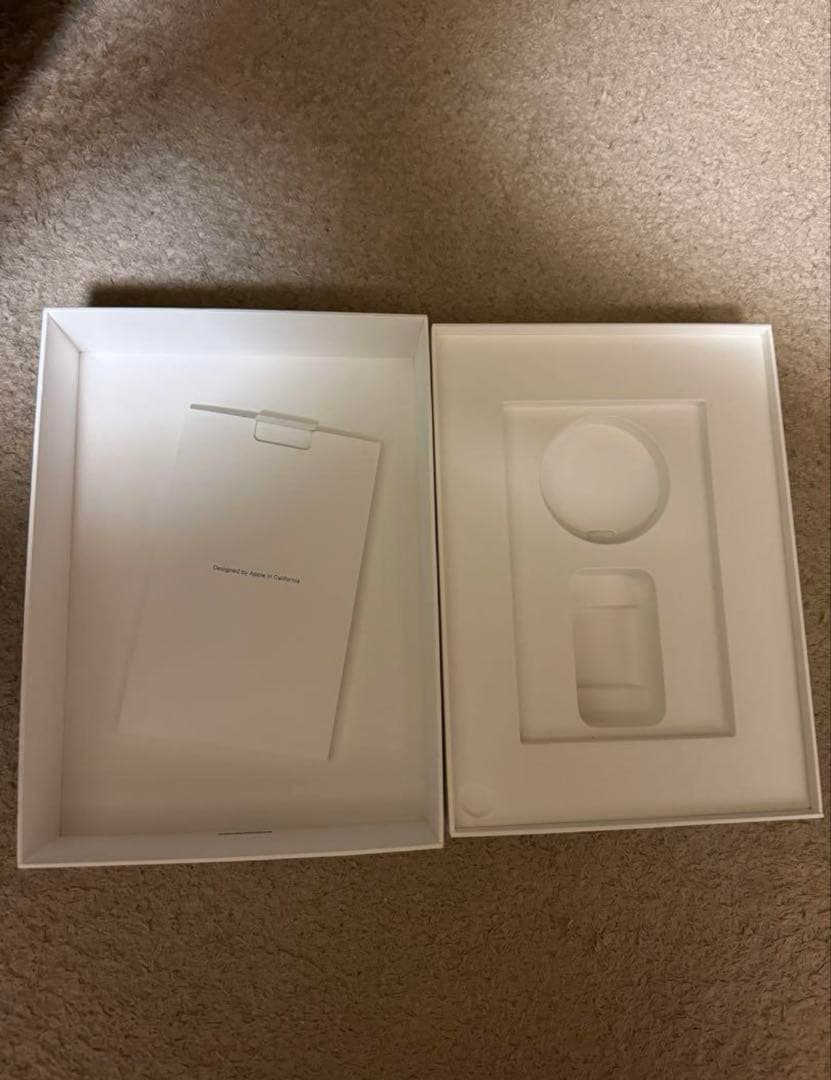 iPad Pro 11 インチ 第1世代 本体