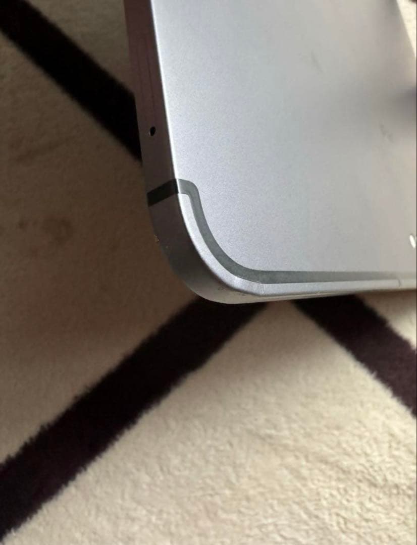 iPad Pro 11 インチ 第1世代 本体