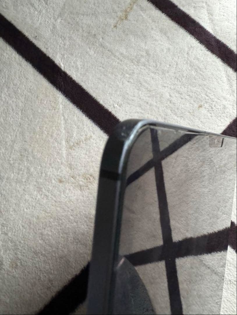 iPad Pro 11 インチ 第1世代 本体