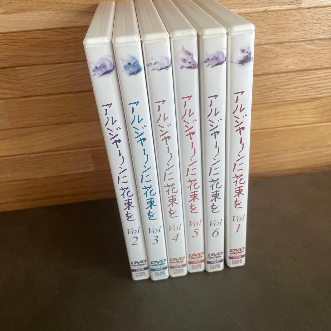 アルジャーノンに花束を DVD-BOX〈6枚組〉　ユースケ・サンタマリア主演