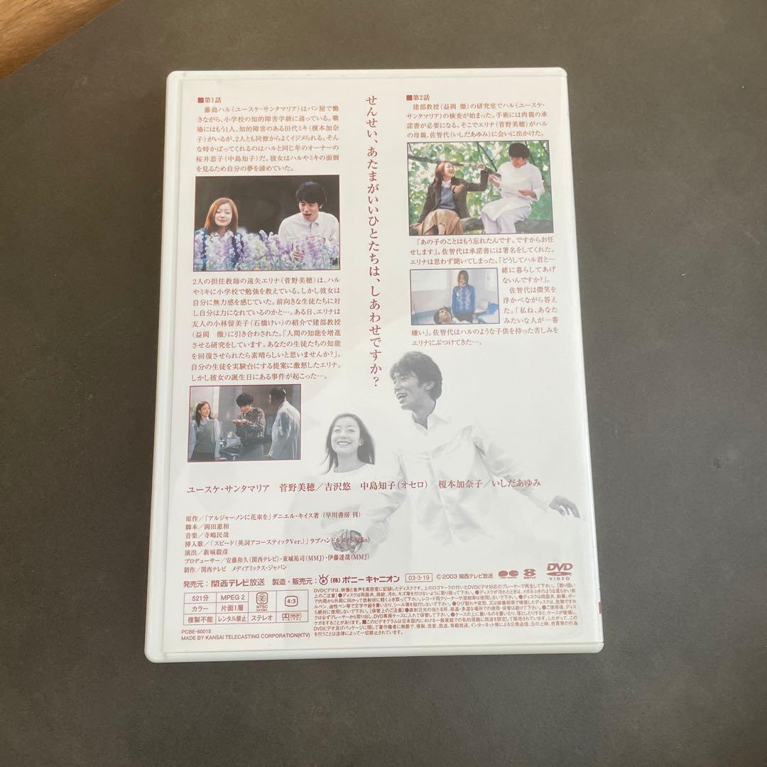 アルジャーノンに花束を DVD-BOX〈6枚組〉　ユースケ・サンタマリア主演