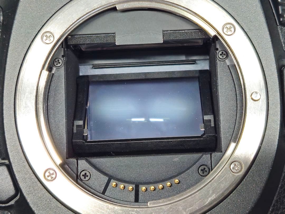 Canon EOS 5Ds R ＋ 300mmズームレンズ付属