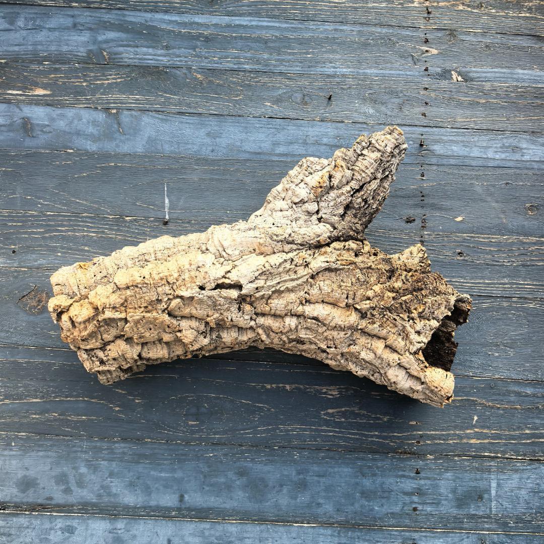 ポルトガル産 キャノンコルク コルク樹皮 コルク板　バージンコルク