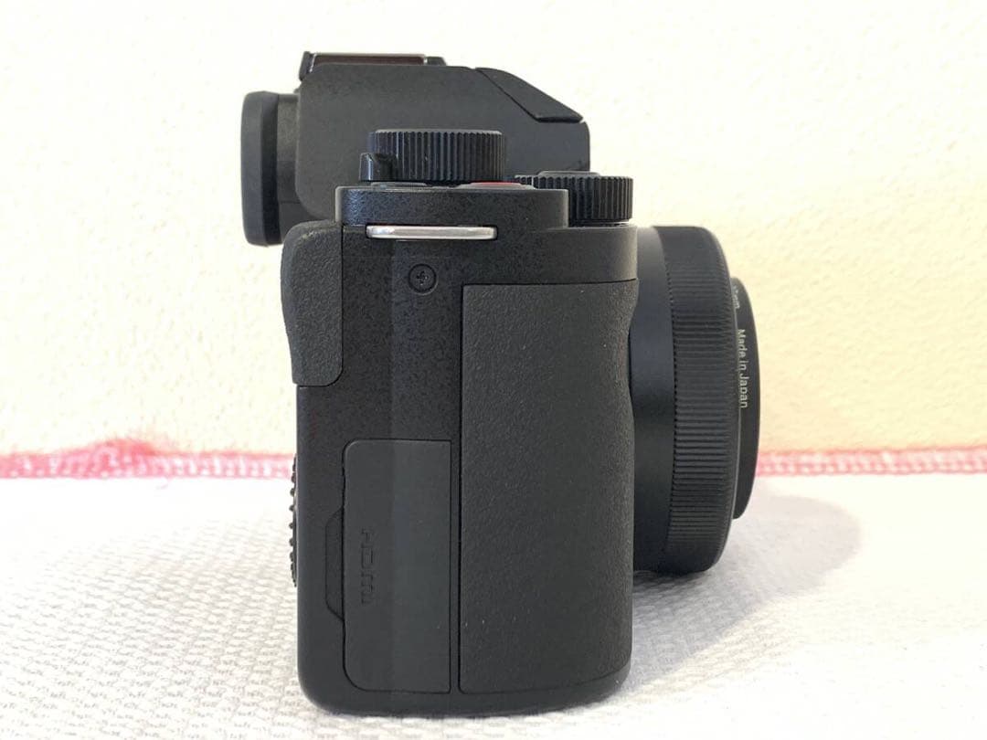み  Panasonic LUMIX DC-G100D ミラーレス一眼