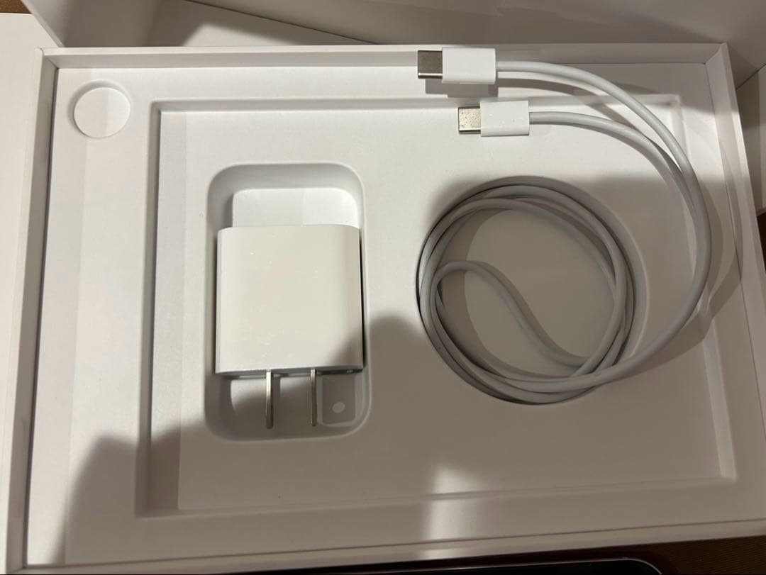 iPad mini6 cellularモデル 256GB スターライト