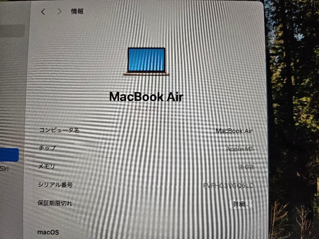 MacBook本体 Apple MacBook Air