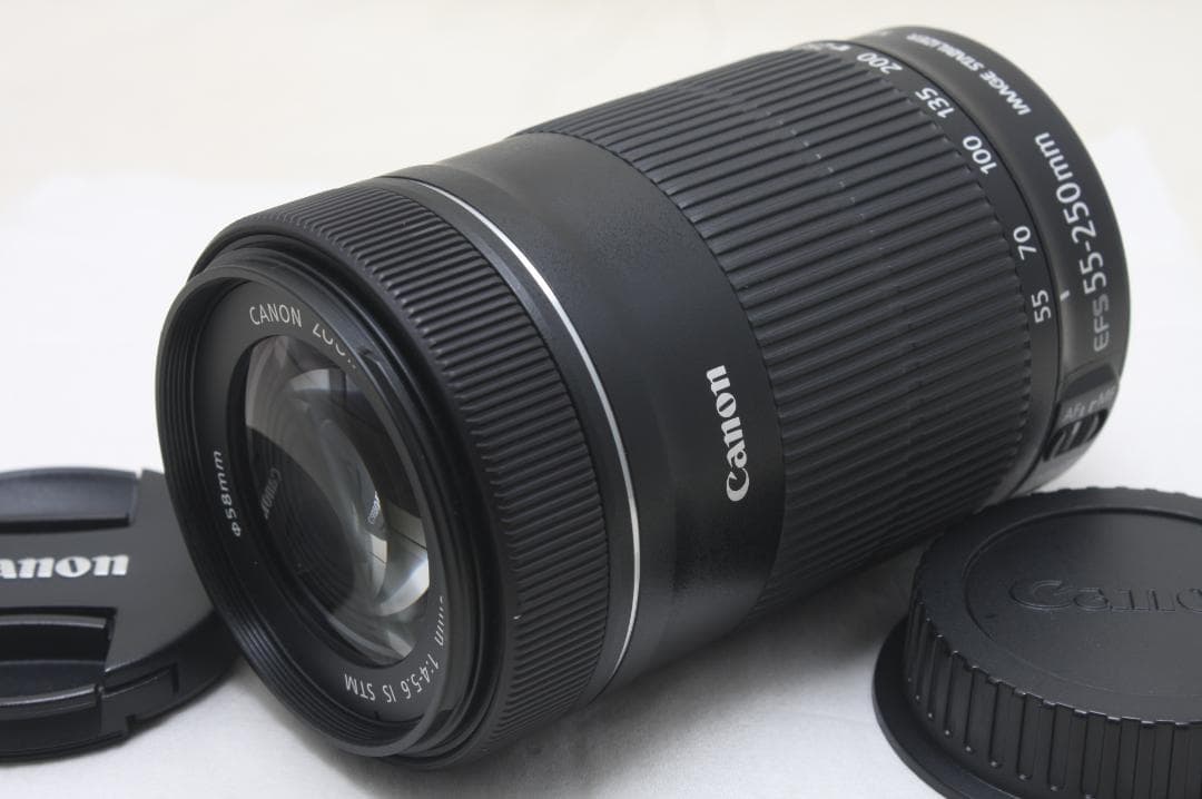 キヤノン EF-S 55-250mm F4-5.6 IS STM 0413