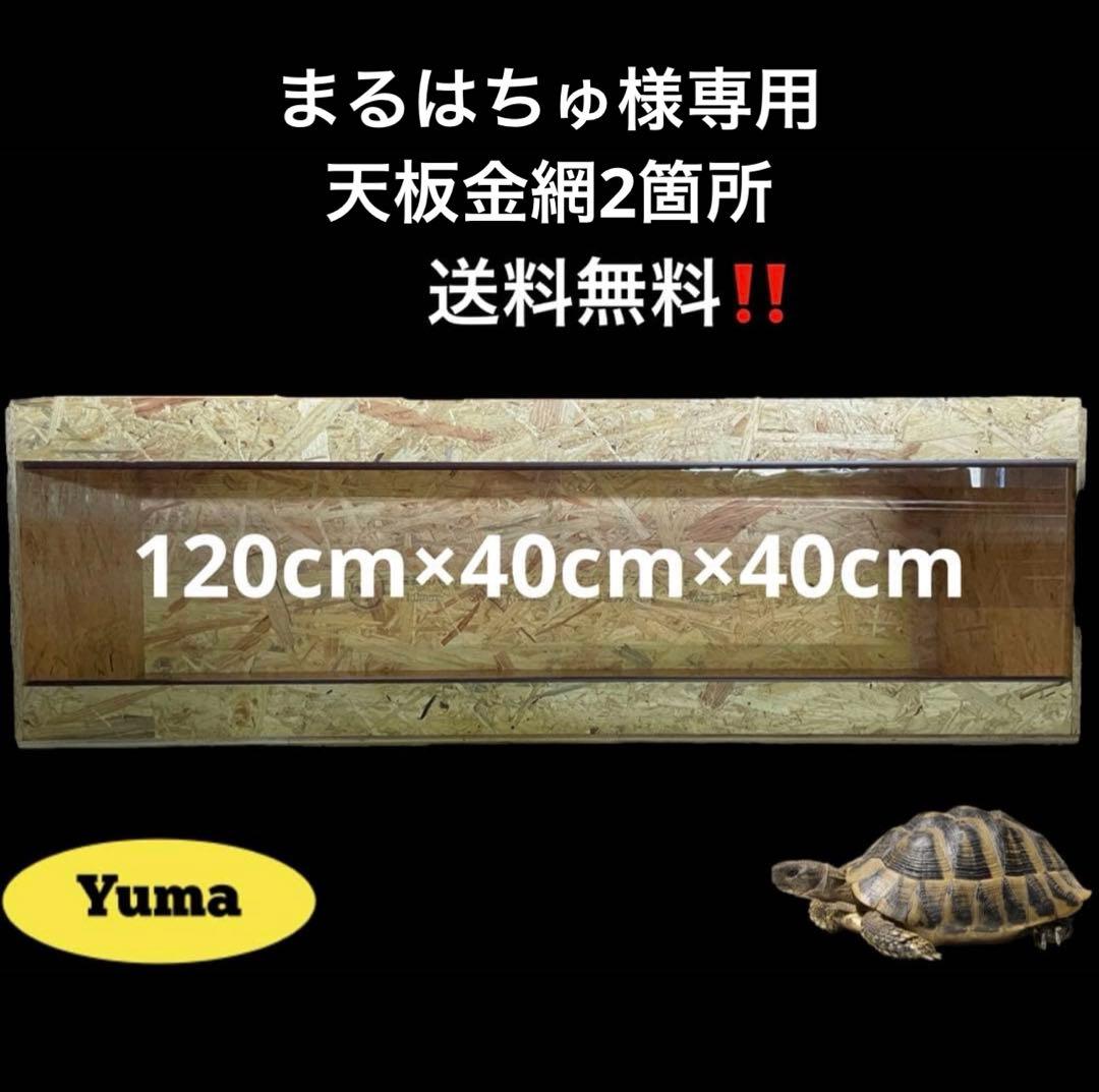 まるはちゅ　1204040