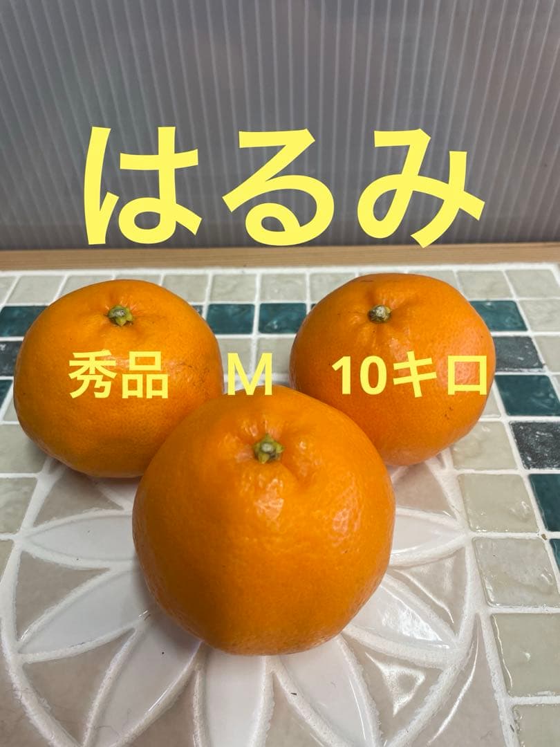 秀品はるみ　Ｍ10キロ