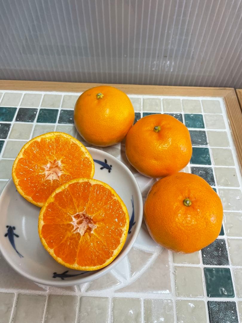 秀品はるみ　Ｍ10キロ