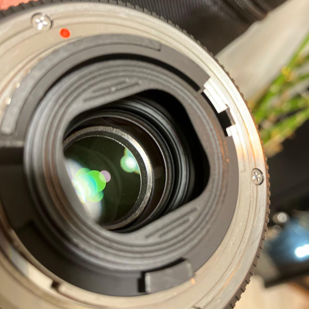 【極上美品】SIGMA 10-20mm F3.5 EX DC HSM Nikon