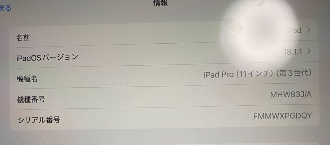 【説明⚠️】iPad Pro 11インチ第3世代256GB WIFI+セルラー