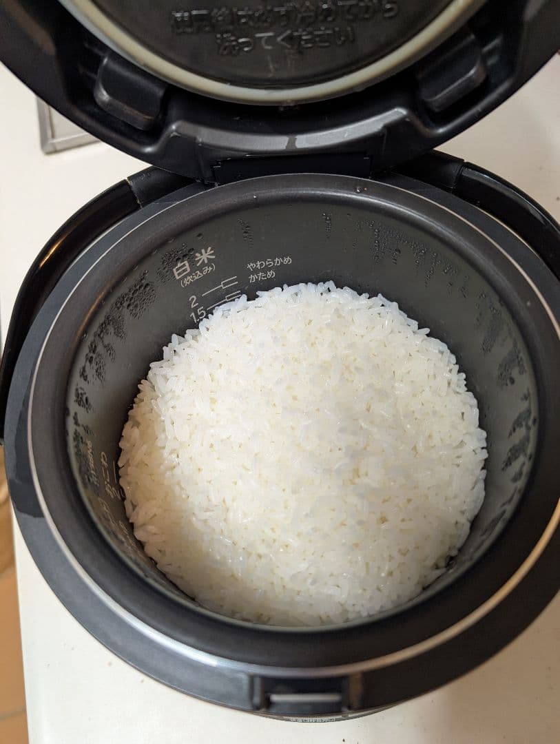 HITACHI 炊飯器2合炊き　RZ-TS203M