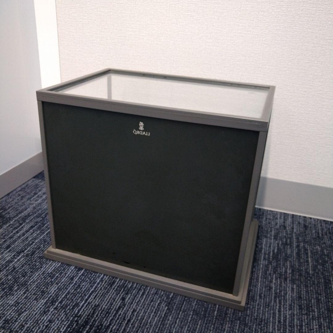 ＊恭ちゃん＊【リヤドロオリジナルガラスケース】＊箱なし