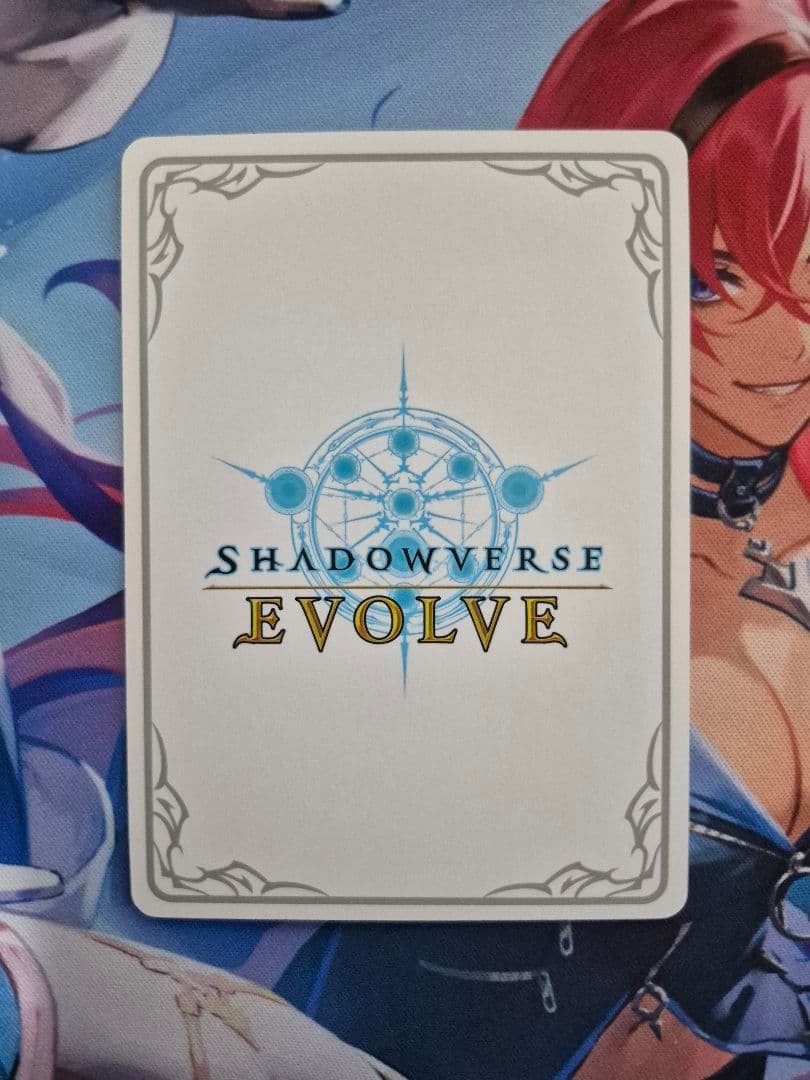 ミルティオ　リーダー