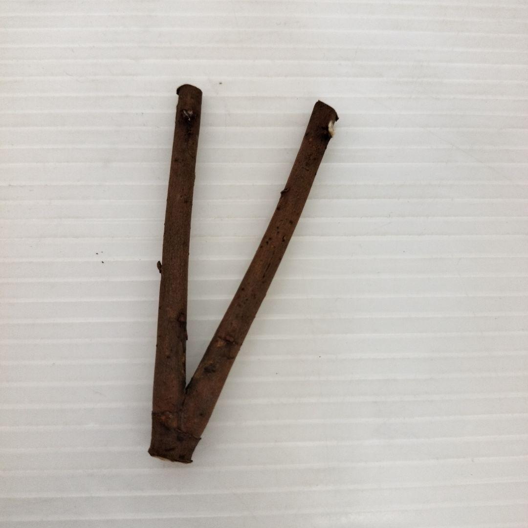 池坊　紫雲　銅器　花器　花瓶