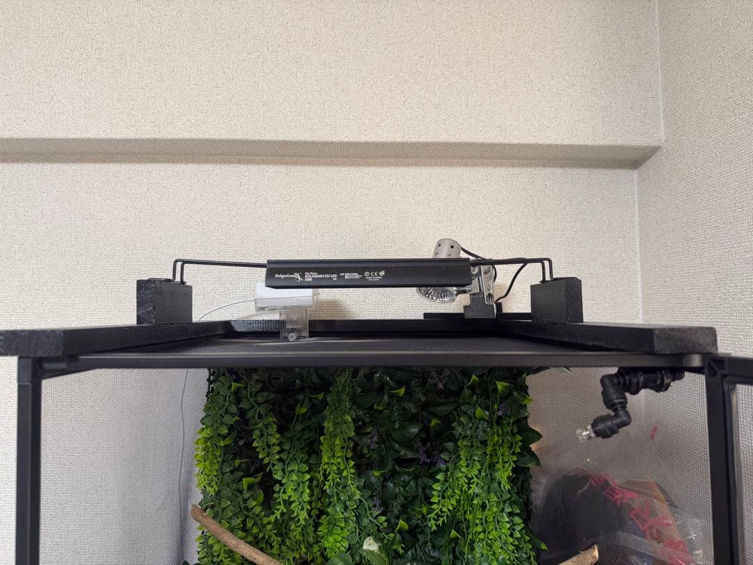 爬虫類ケージＧＥＸエキゾテラ　スクリーンテラリウム４５９０　カメレオン飼育セット