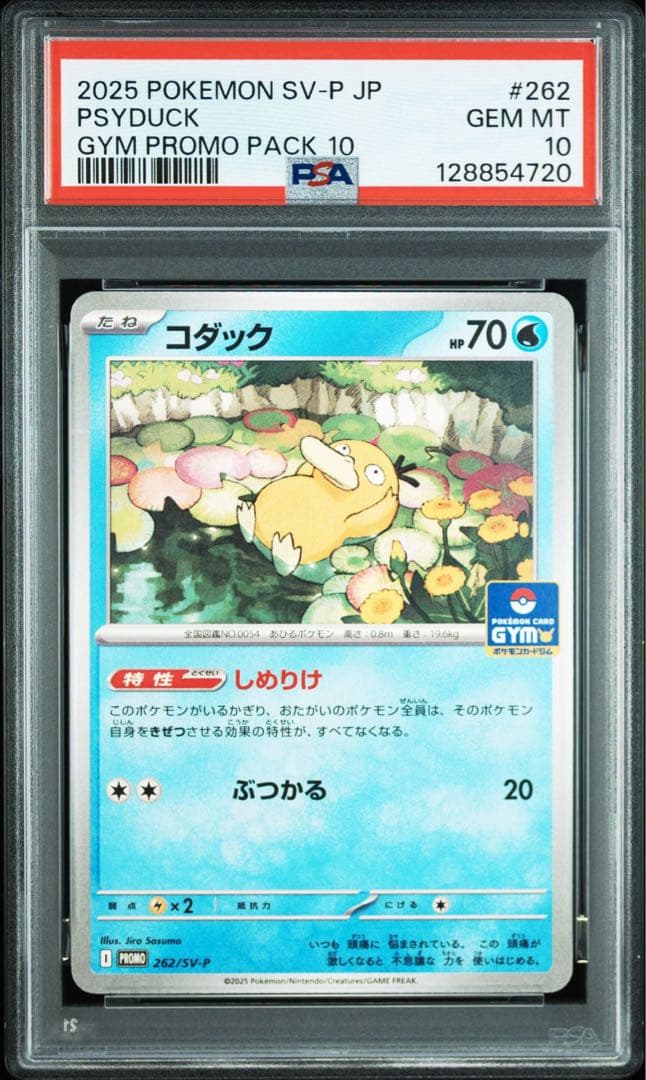 【PSA10】 コダック ジムプロモ しめりけ sy-p 6連番 psyduck
