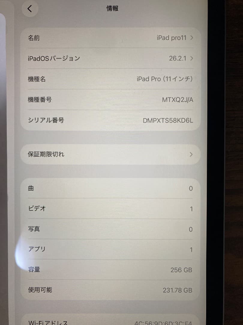【極美品】iPad pro11 1世代　256GB Wi-Fi