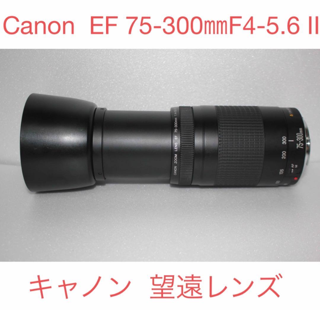 デジタル一眼レフカメラ　望遠レンズCanon EF75-300㎜