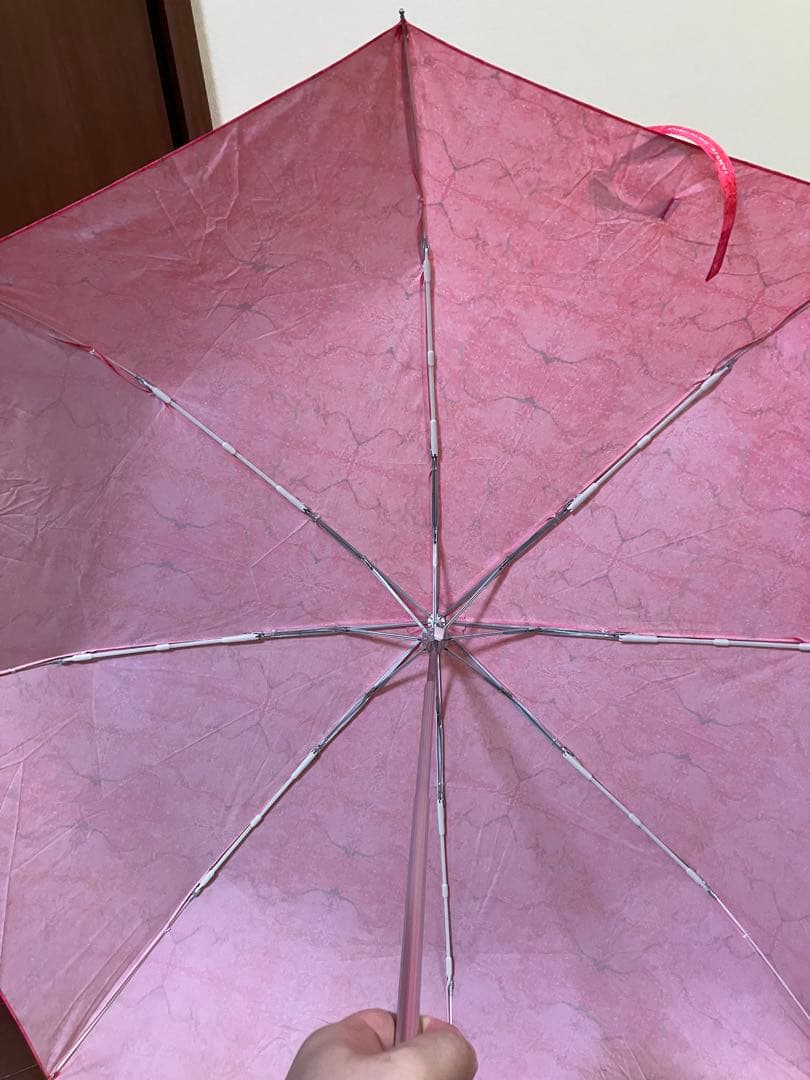 JANTJE_ONTEMBAARヤンチェオンテンバール　香取慎吾　折りたたみ傘