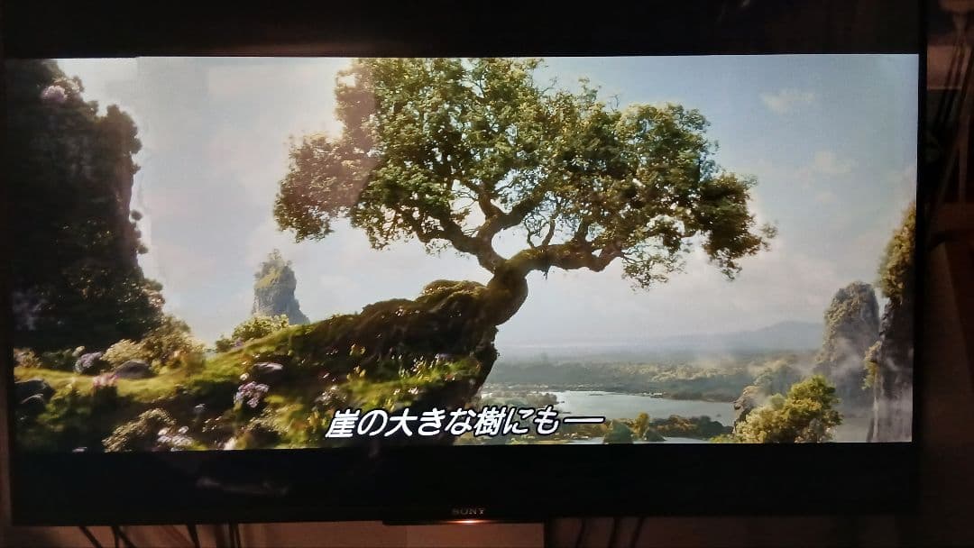 500GB シャープ AQUOS BDレコーダー☆BD-W570☆リモコン付 5