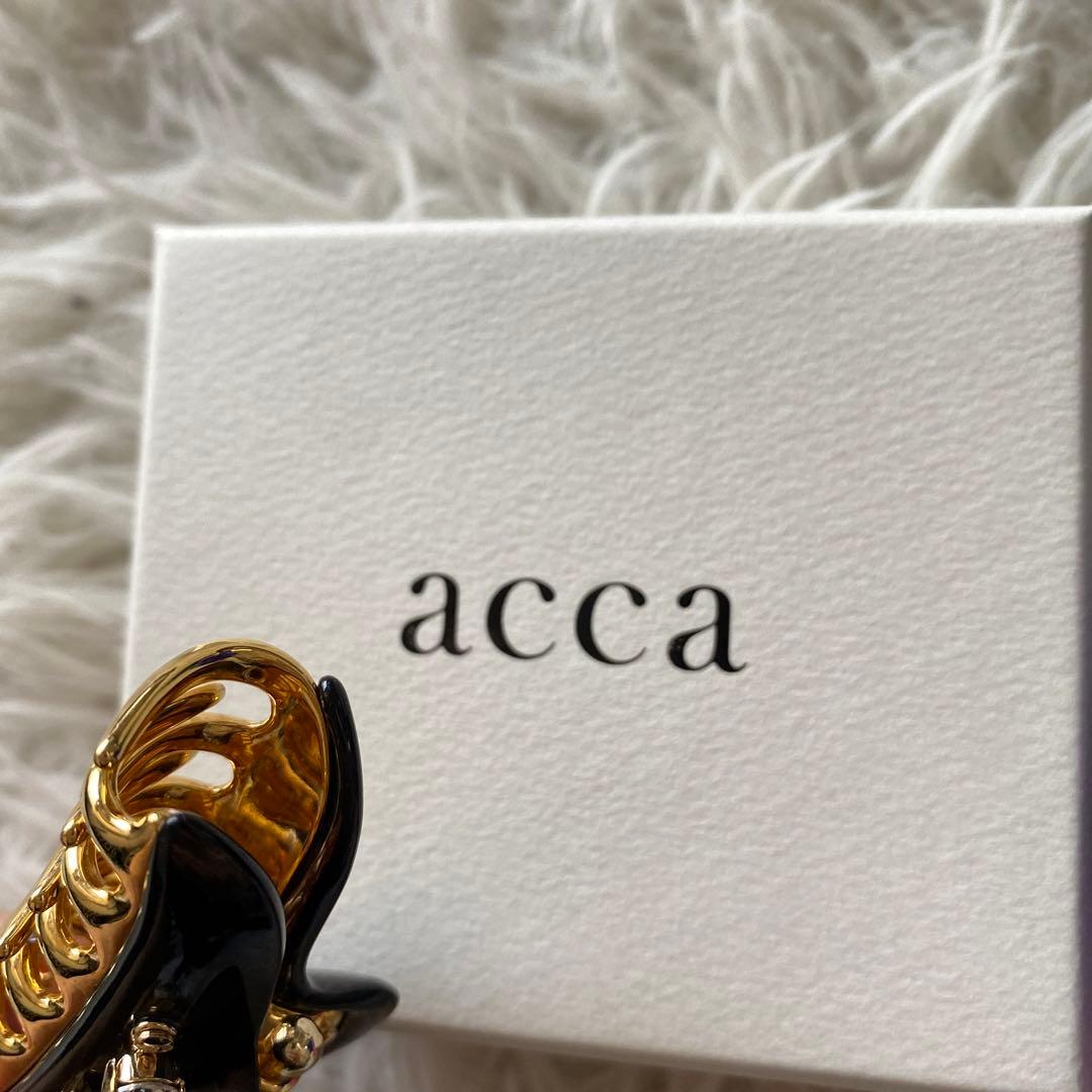 ハル猫・プロフ必読完売品　acca クリスタルリーブスクリップ