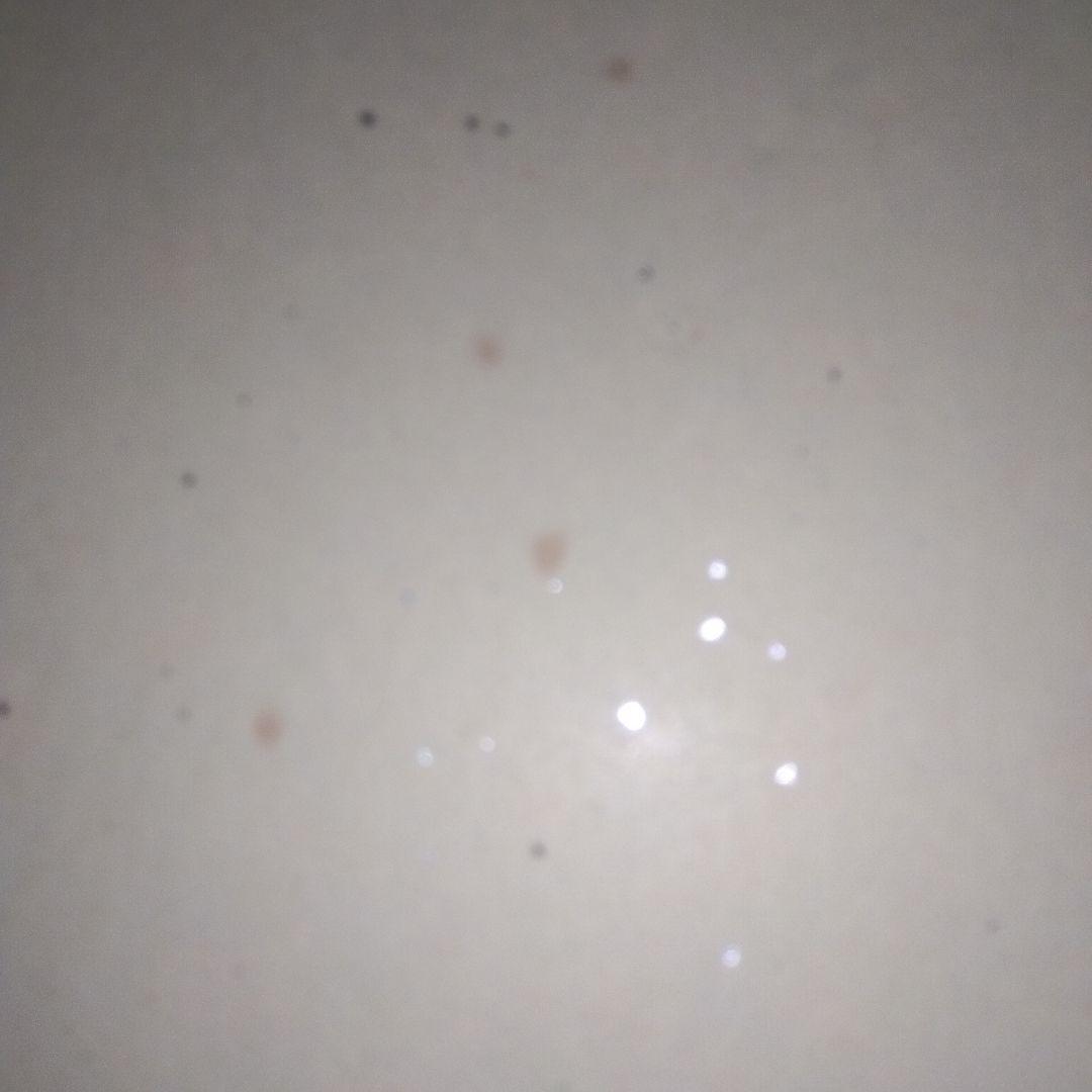 匿名配送　サンドウィッチマン　色紙　2010年　シール貼付　直筆サイン　封筒入り