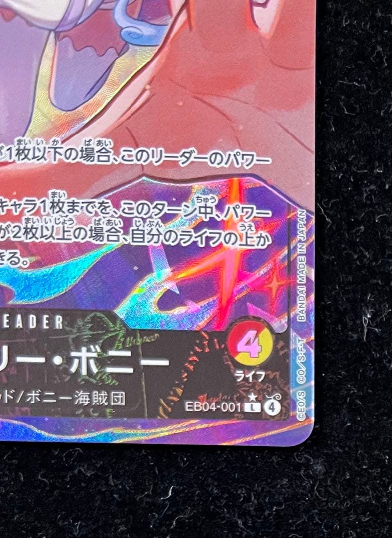 ボニー　リーダーパラレル　①