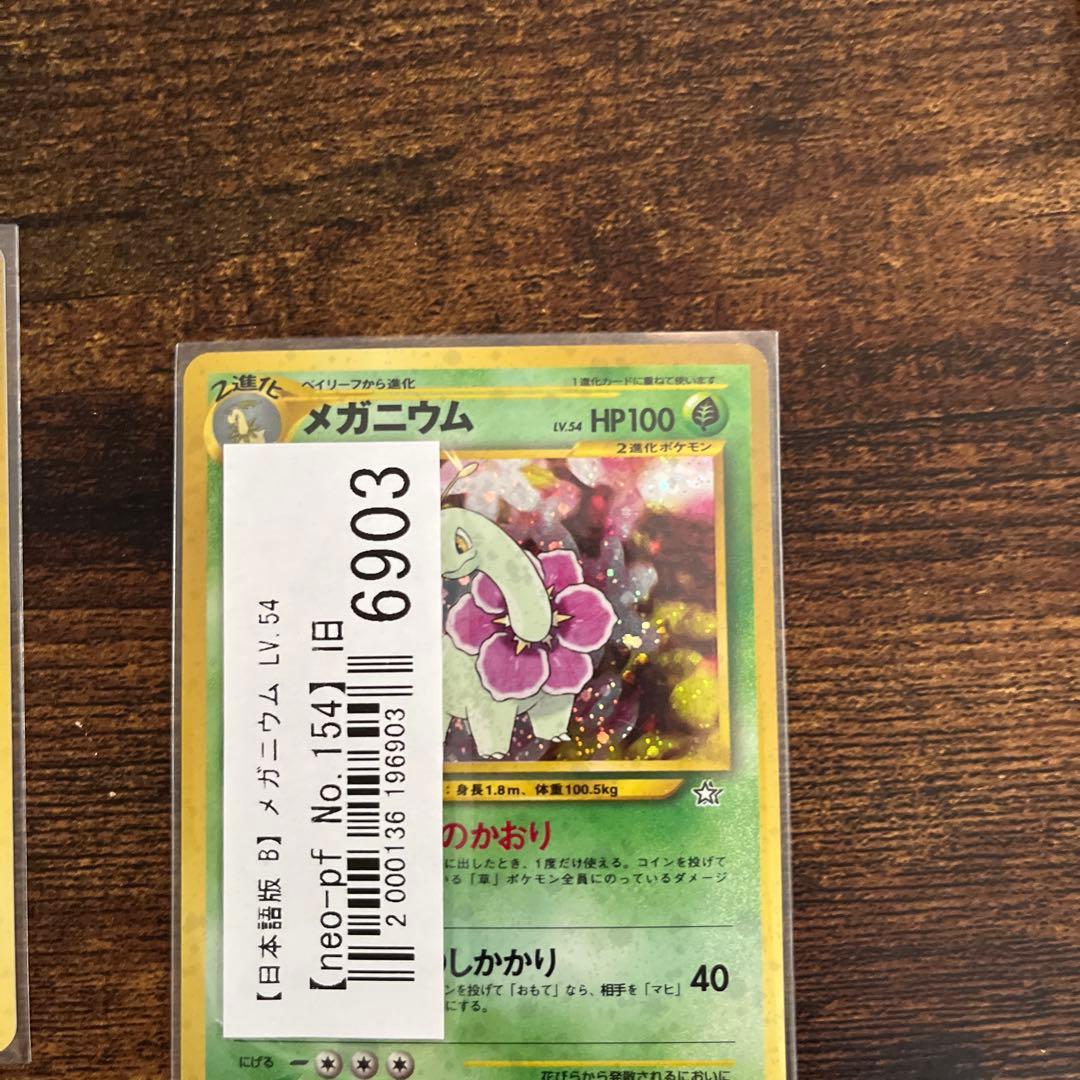 【旧裏】カード 金銀御三家　オーダイル バクフーン メガニウム 3枚セット