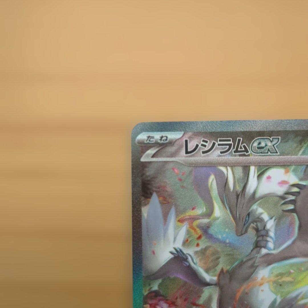 ゼクロムEX、レシラムEX SARセット