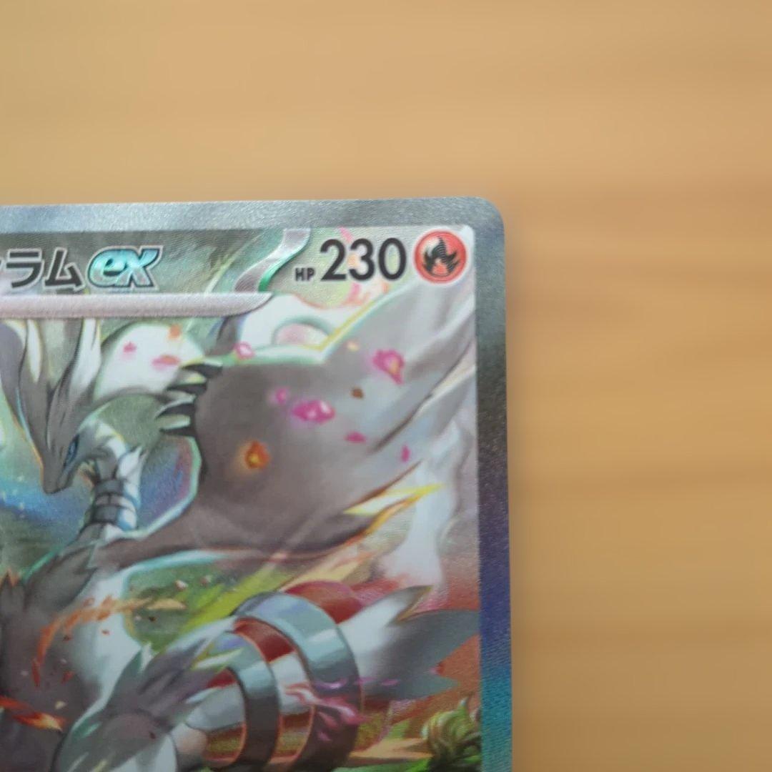 ゼクロムEX、レシラムEX SARセット