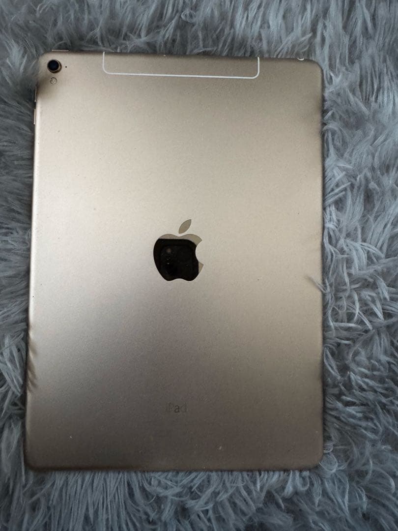 iPad Pro 9.7インチ 256GB (第1世代) セルラーモデル