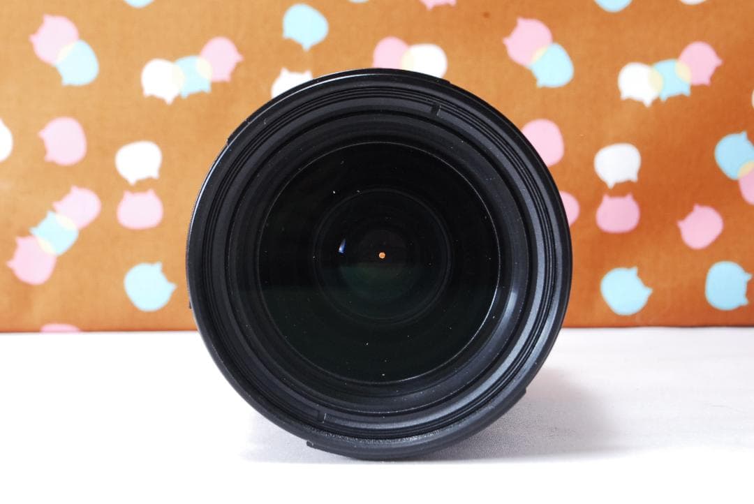 ✨届いてすぐ使える✨初心者オススメ✨Nikon D80 レンズセット