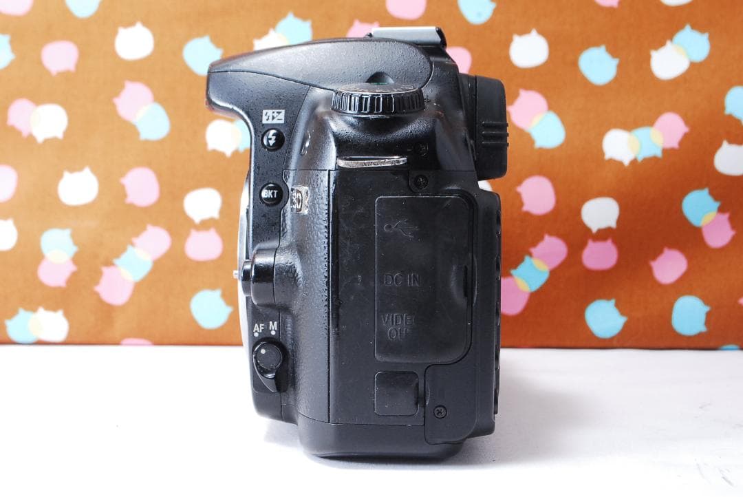 ✨届いてすぐ使える✨初心者オススメ✨Nikon D80 レンズセット