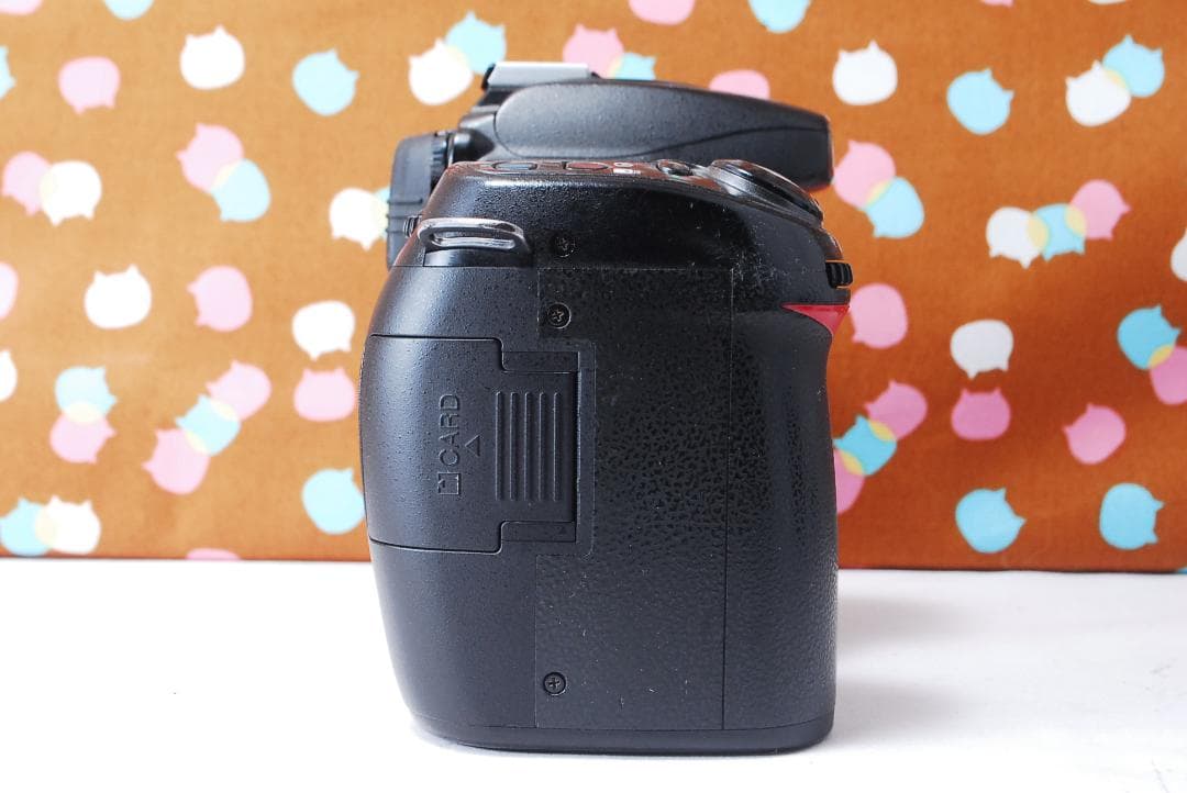 ✨届いてすぐ使える✨初心者オススメ✨Nikon D80 レンズセット