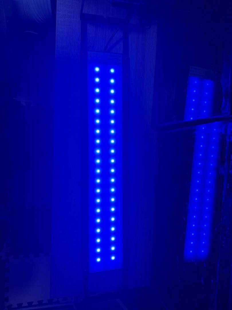 Chihiros wrgb Slim 60 とライトシェード（1枚)