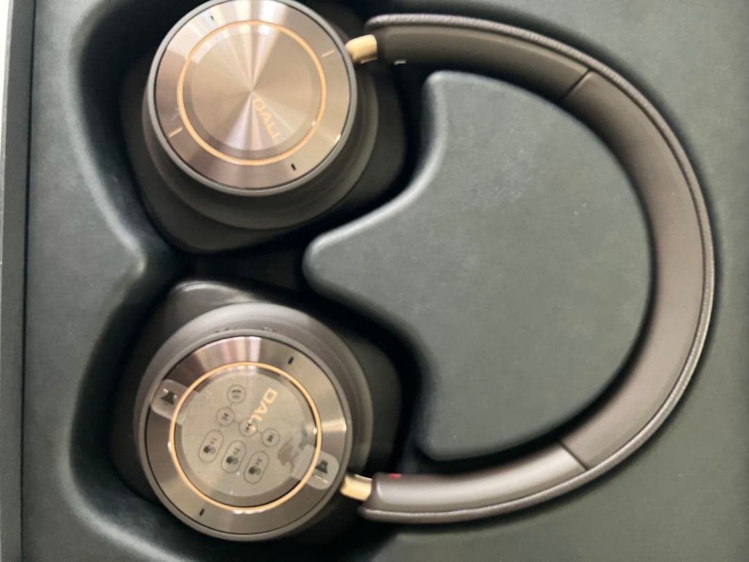 [輸入品]DALI iO-12 ワイヤレスヘッドホン