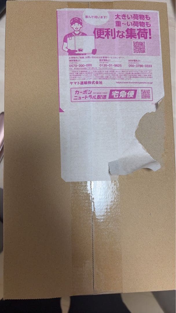 明日発送可能 シュリンク付きスペシャルBOXポケモンセンターヒロシマ