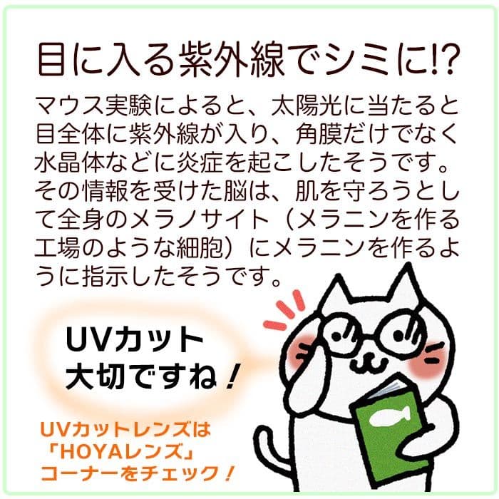 Ray-Ban RB 5598Fクリア/ブラック ラウンドメガネ