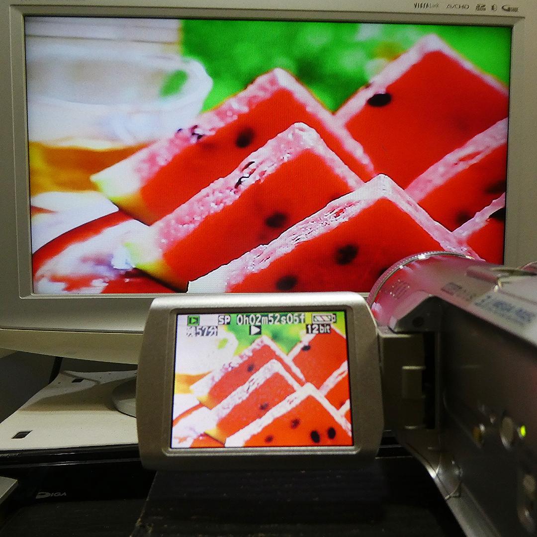 動作良好 パナソニック NV-GS250 MiniDVビデオDVDダビングに最適