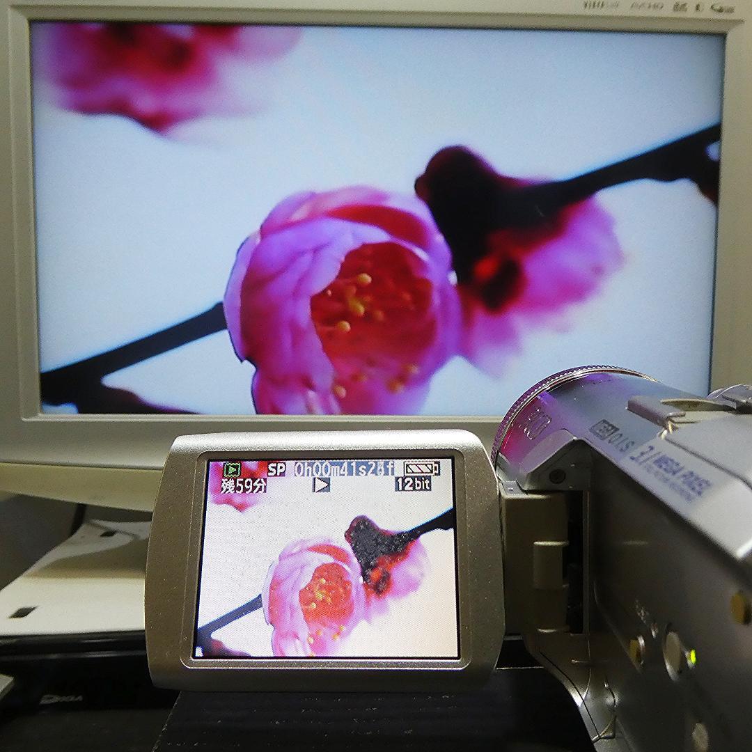 動作良好 パナソニック NV-GS250 MiniDVビデオDVDダビングに最適