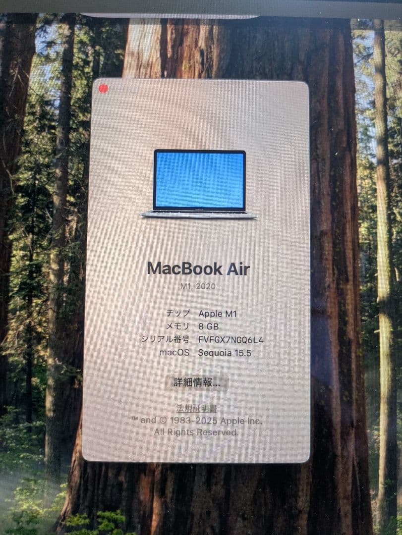 MacBook本体 Apple M1 MacBook Air 13-inch 8GB 256GB