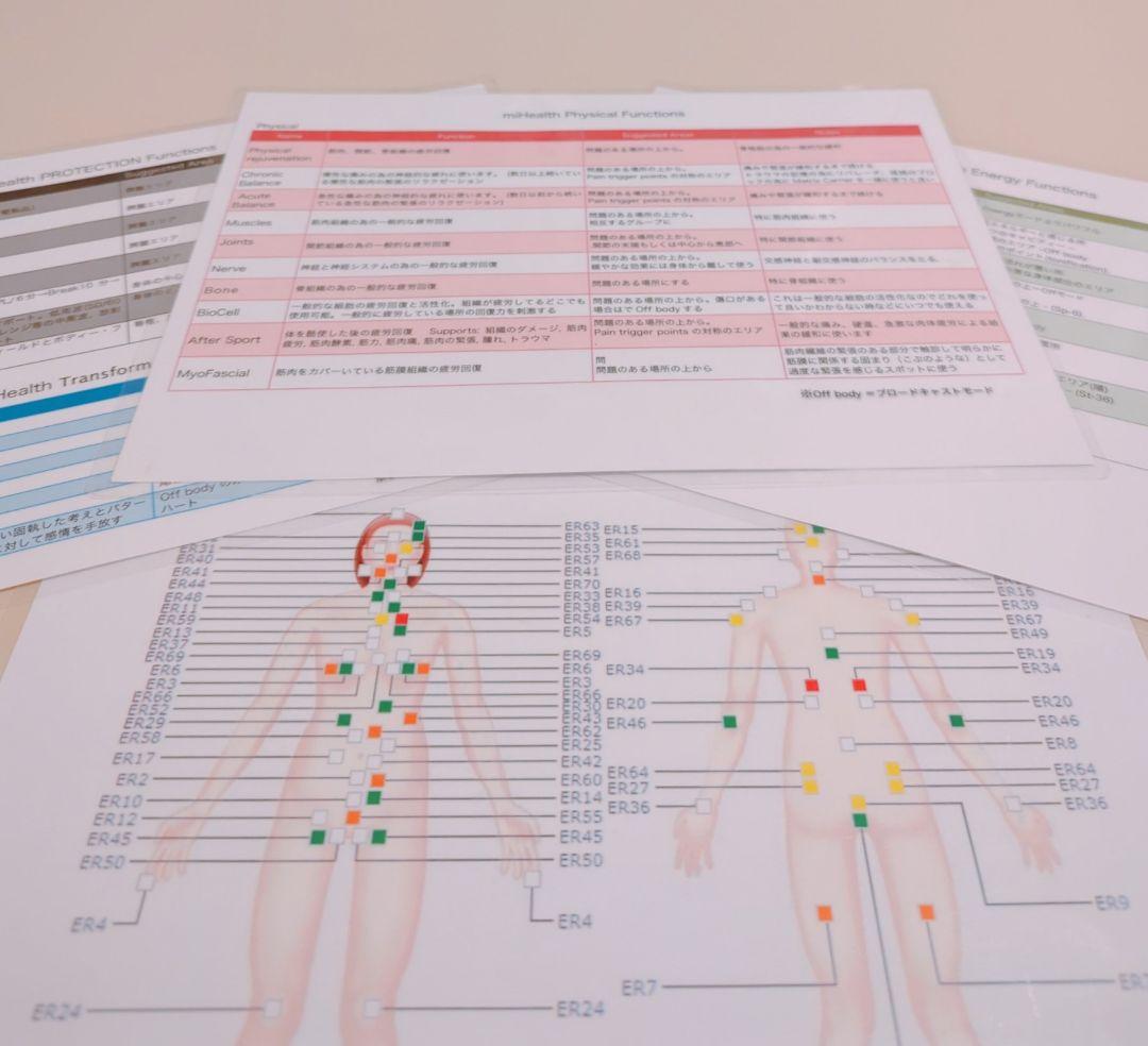 【中古美品】NESマイヘルス　波動ヒーリング　情報療法デバイス　詳細チャート付き