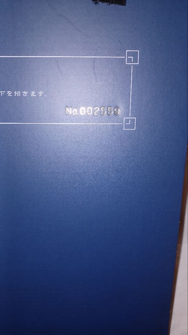 【美品】PS2 ヴァルキリープロファイル2 シルメリア 限定BOX